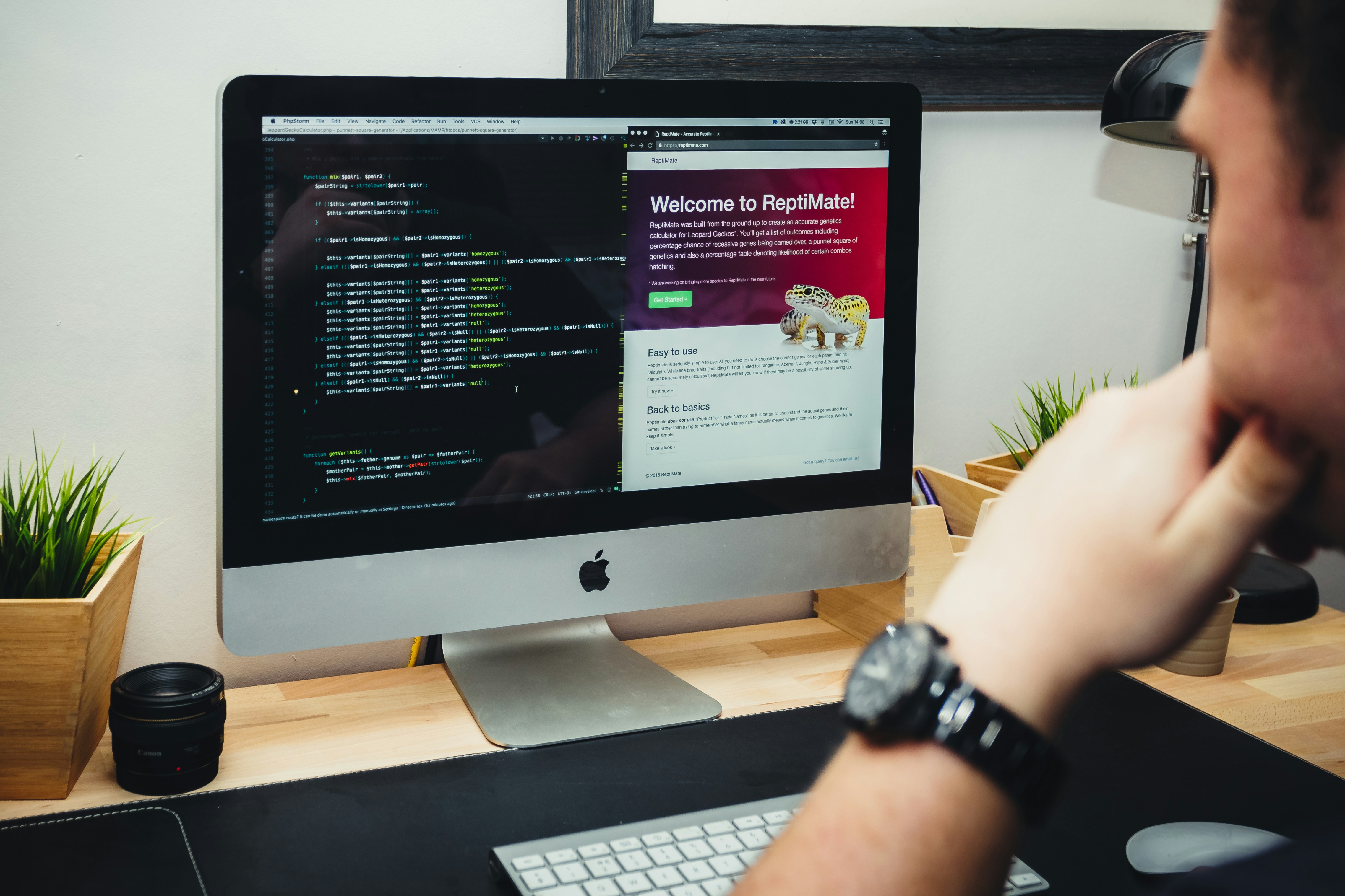 Web Development services by M Tech